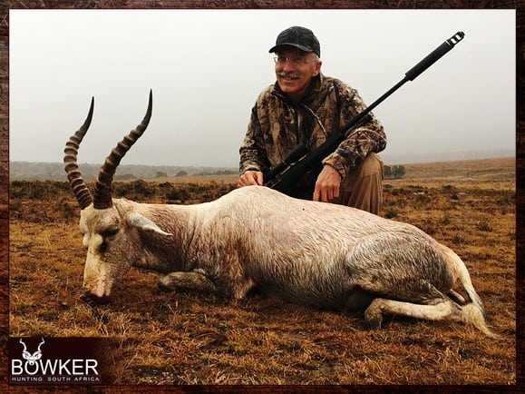 My African Hunt 14 Blesbok trophy taken on ny African hunt
