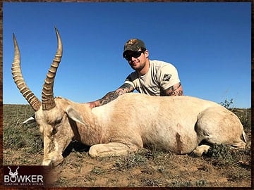 Trophy Hunting South Africa 72 White blesbok hunted in South Africa.