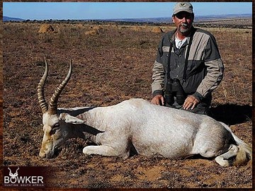 Trophy Hunting South Africa 78 White blesbok hunting in Africa.