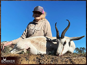 Trophy Hunting South Africa 45 White springbok hunting in Africa.
