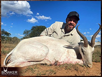 Trophy Hunting South Africa 43 White springbok hunting in Africa.