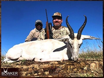 Trophy Hunting South Africa 46 White springbok hunting in Africa.