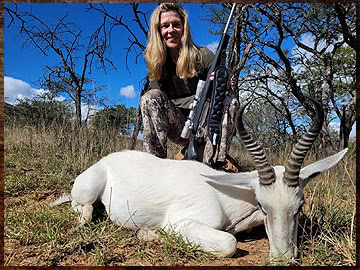 Trophy Hunting South Africa 41 White springbok hunting in Africa.