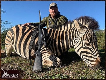 Trophy Hunting South Africa 160 Zebra rifle hunted in Africa.