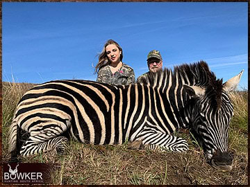 Trophy Hunting South Africa 161 Zebra harvested in 2023.