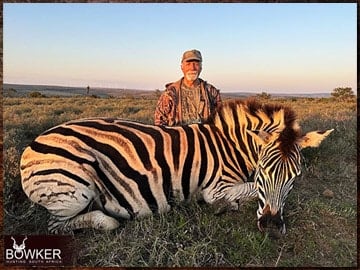 Trophy Hunting South Africa 163 Zebra rifle hunted in Africa.