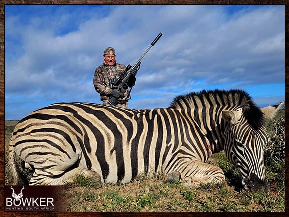 Zebra Hunting - All You need to Know About Zebra Hunts 8 Zebra hunt in Africa with Nick Bowker.