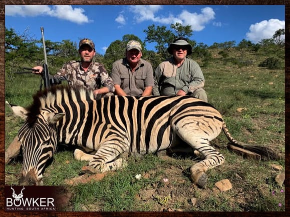 Zebra Hunting - All You need to Know About Zebra Hunts 20 Zebra hunt. Zebra make a great add on to any of our packages.