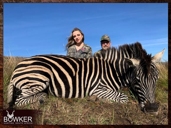 Zebra Hunting - All You need to Know About Zebra Hunts 27 Zebra harvested in 20203.