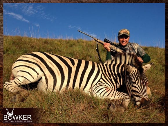Zebra Hunting - All You need to Know About Zebra Hunts 16 Zebra Hunting in South Africa.