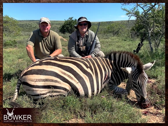 African Hunting Trip 3 Zebra taken on our African hunting trip