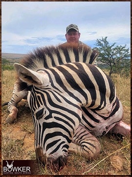 Trophy Hunting South Africa 139 Zebra hunted safari style in Africa.