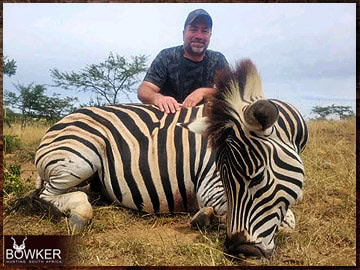 Trophy Hunting South Africa 151 Zebra hunting in Africa.