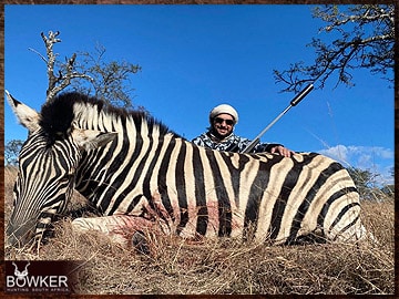 Trophy Hunting South Africa 152 Zebra hunting in Africa.
