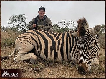 Trophy Hunting South Africa 145 Zebra trophy hunted in South Africa.