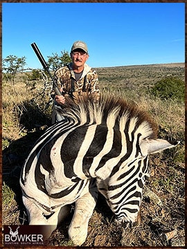 Trophy Hunting South Africa 149 Zebra trophy hunted in South Africa.