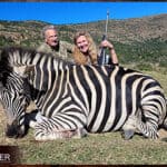 Zebra Hunting - All You need to Know About Zebra Hunts 23 Zebra trophy hunted in South Africa.