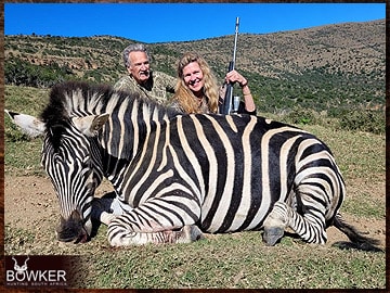 Trophy Hunting South Africa 146 Zebra trophy hunted in South Africa.