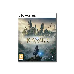 Hogwarts Legacy PlayStation 5