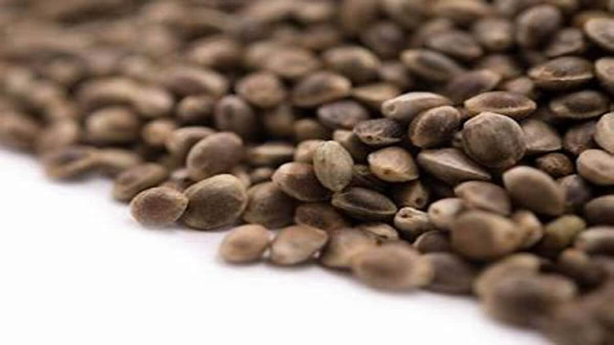 5 Great Health Benfits of Hemp Seeds & How to Eat Them