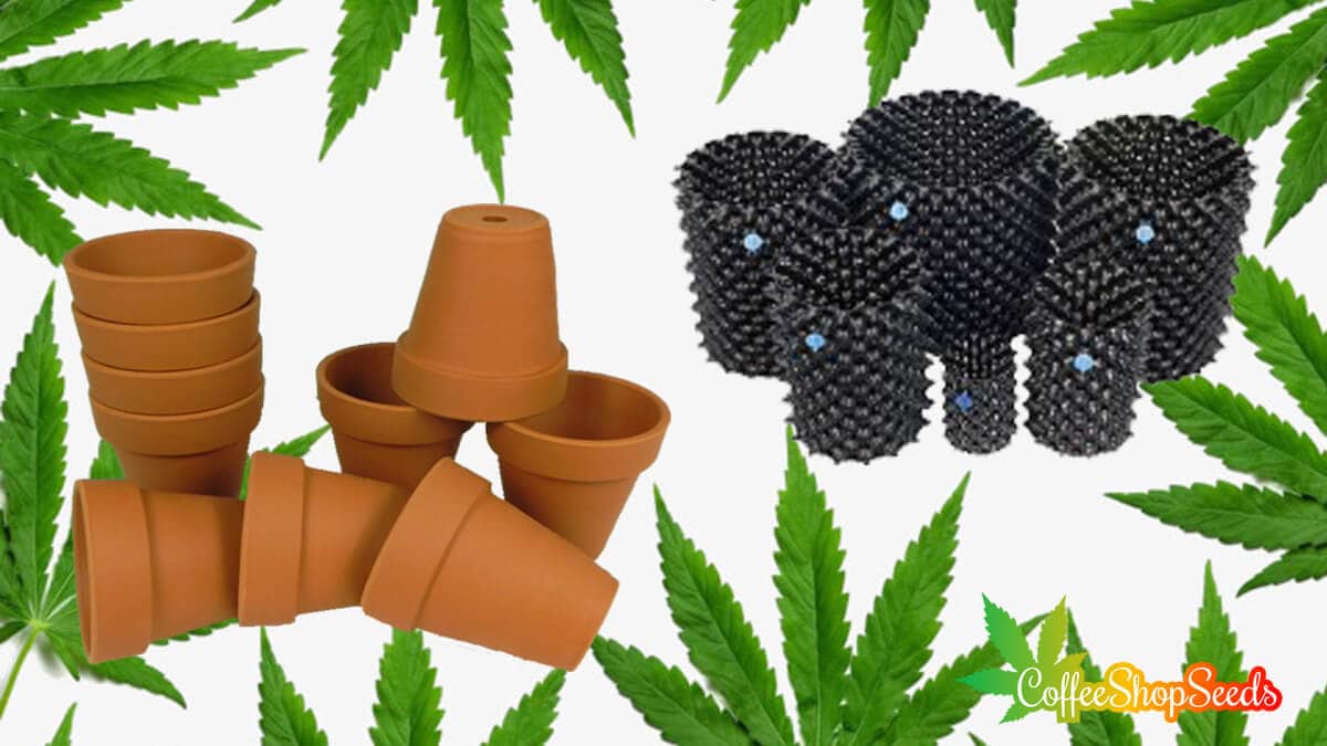 Potting Your Pot – Choosing the Right Container for Your Cannabis Plant