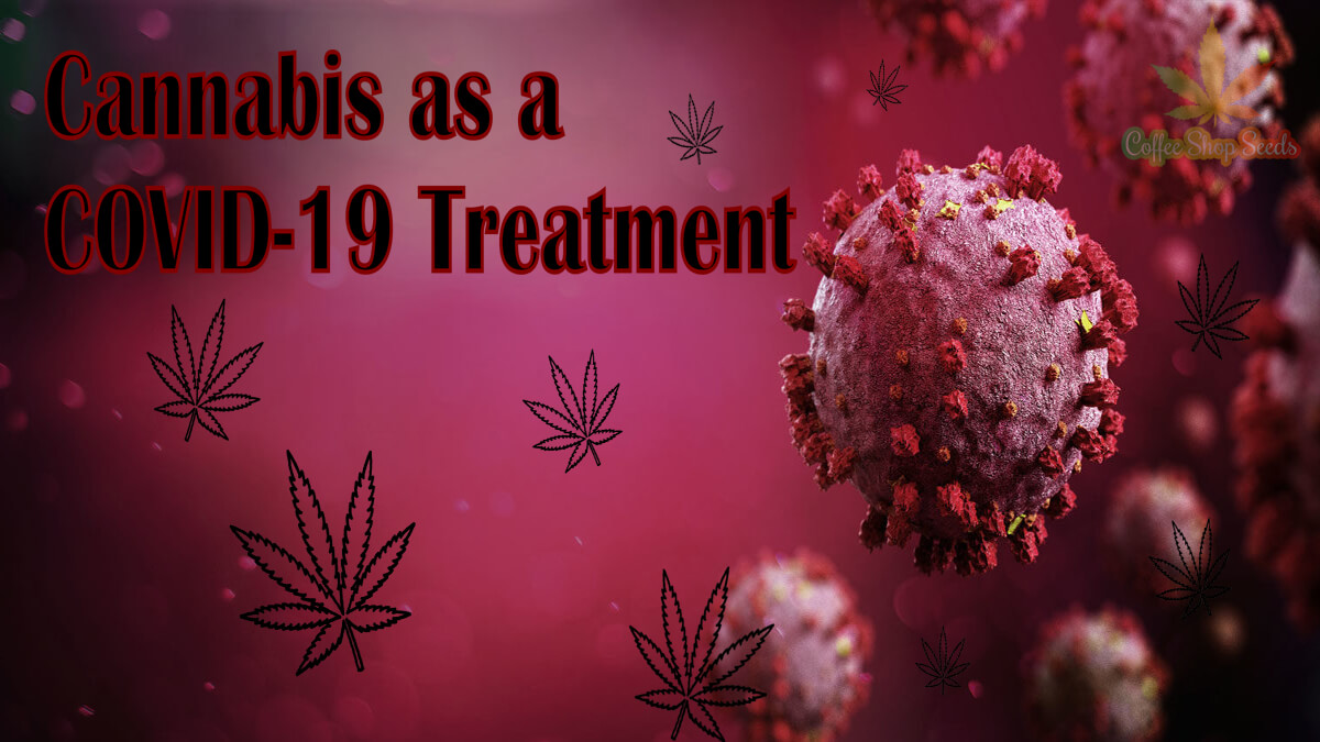 What You Should Know About Cannabis as a COVID-19 Treatment