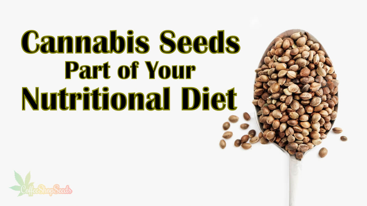 Making Cannabis Seeds a Part of Your Nutritional Diet