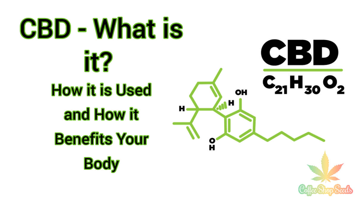 CBD – What it is, How it is Used, and How it Benefits Your Body