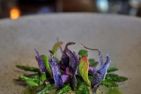 Amisfield Queenstown restaurant review Vaughan Mabee New Zealand 