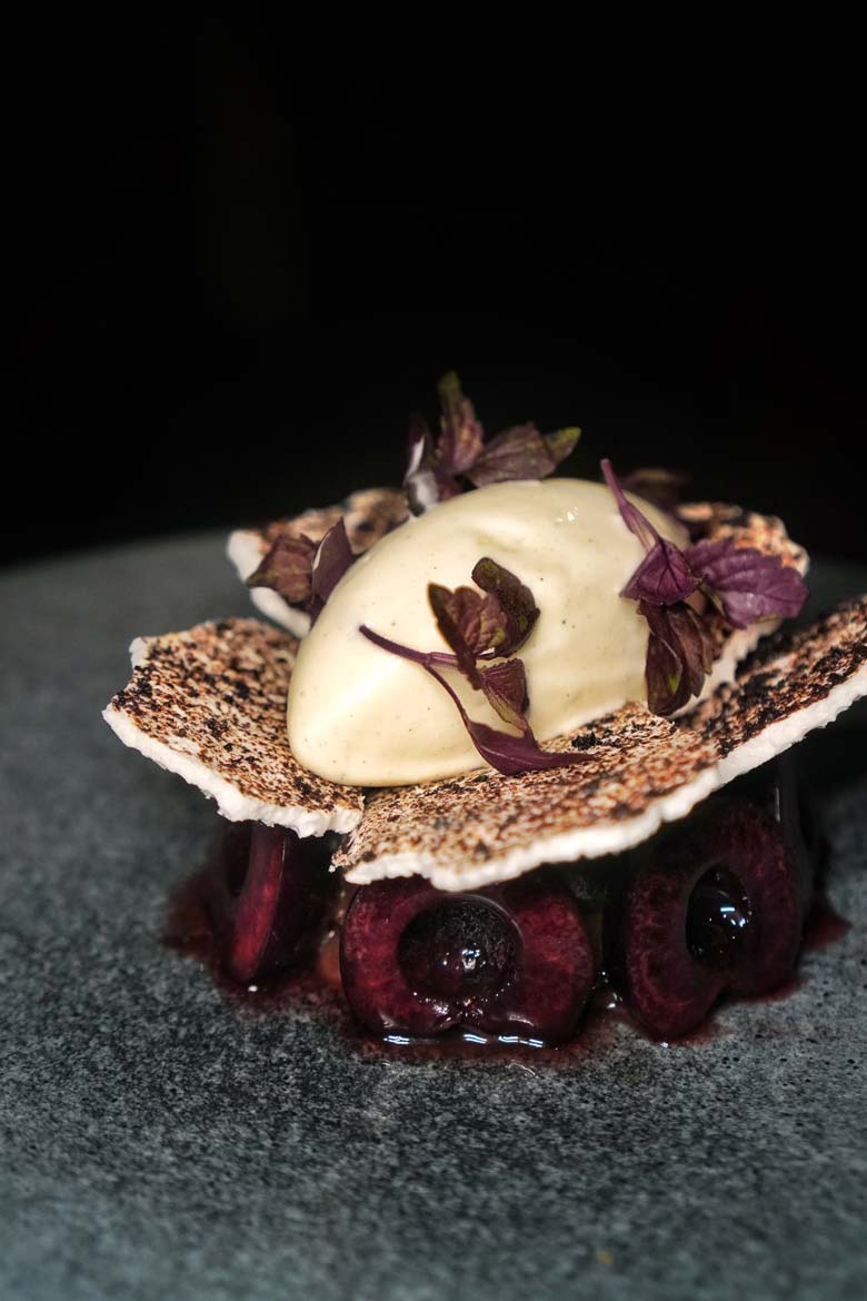 the grove auckland review