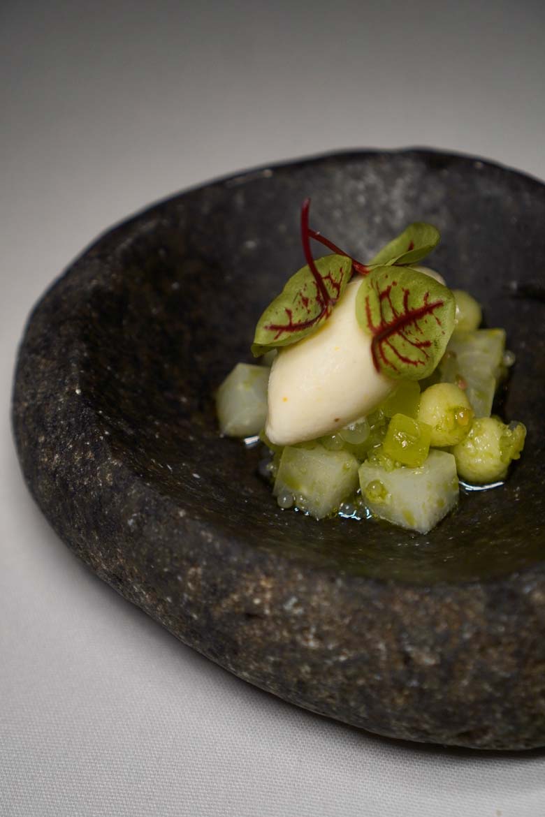 the grove auckland review