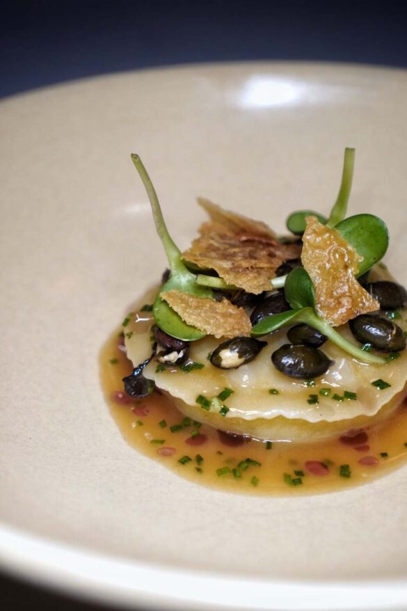 the grove auckland review
