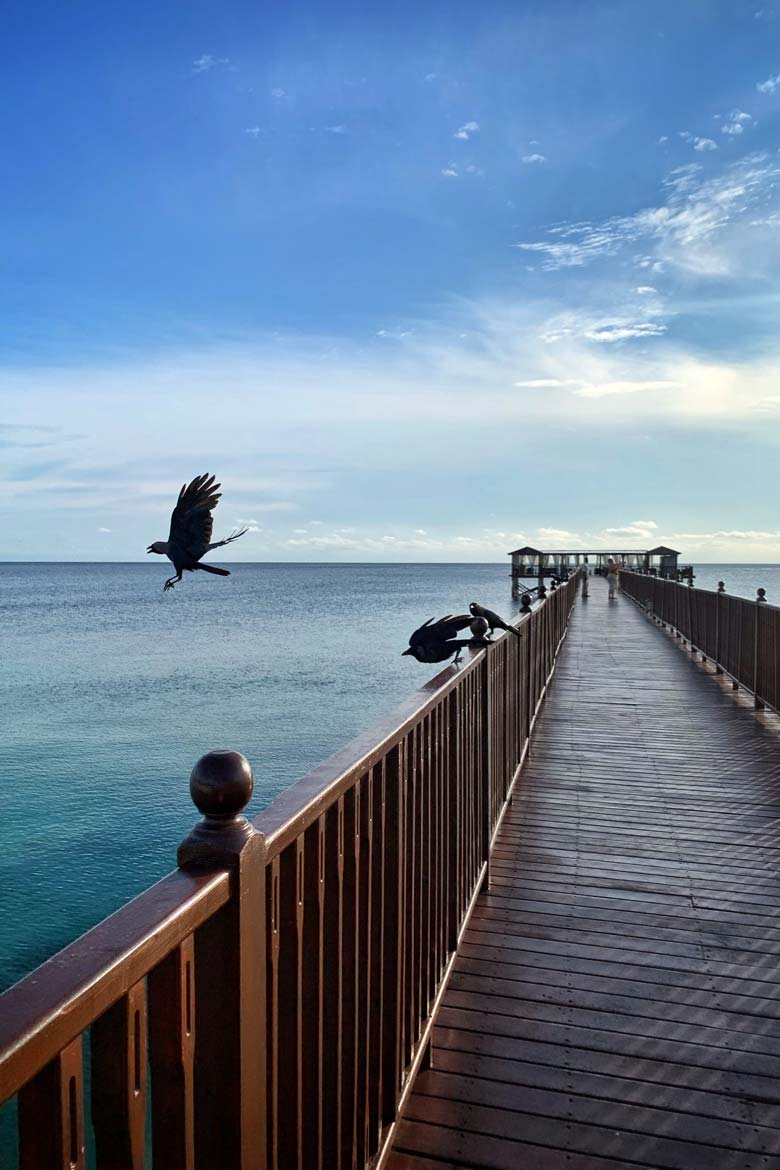 the residence Zanzibar hotel review