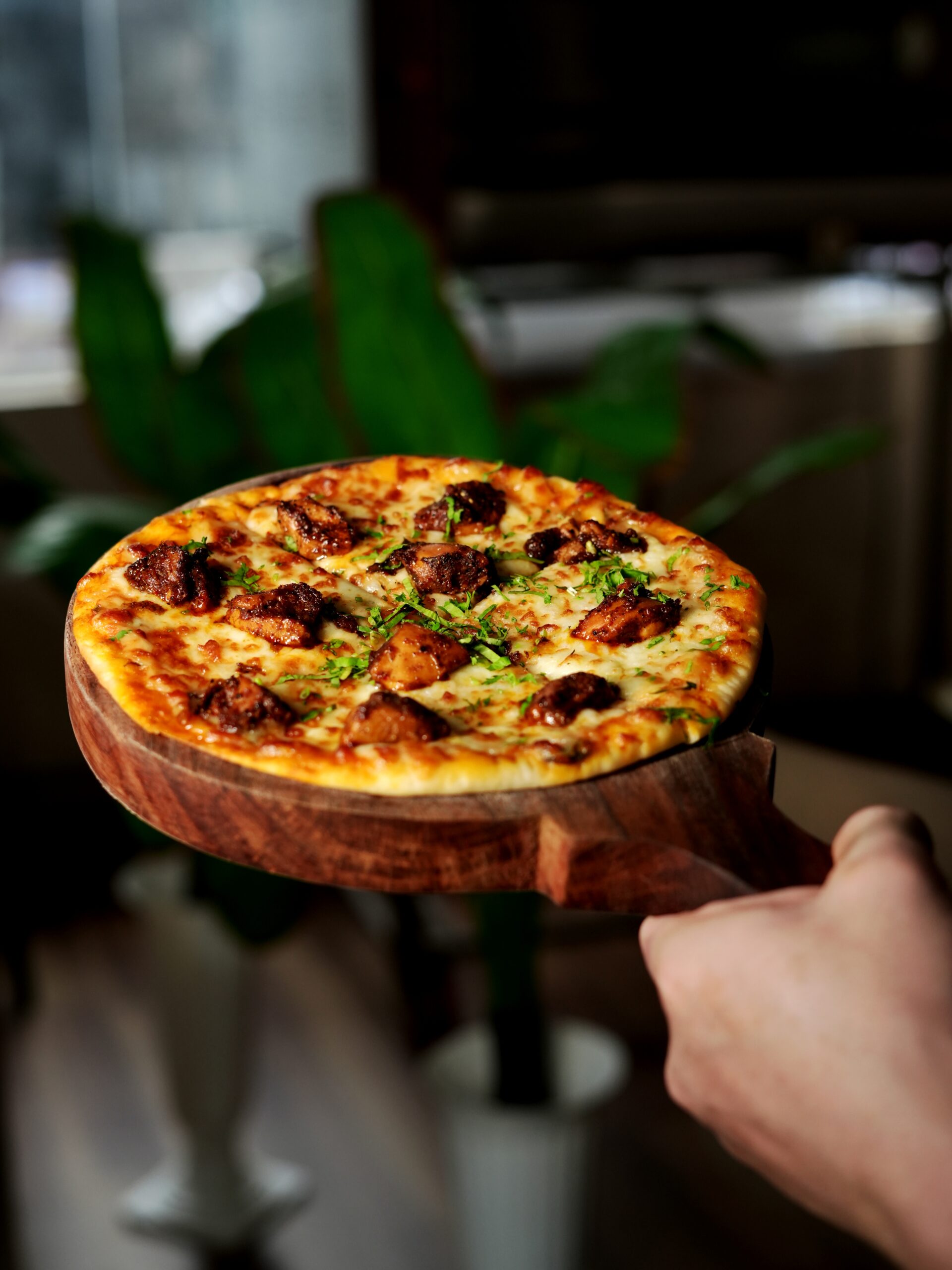 Delicious pizza with chicken and herbs