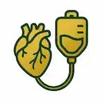 Targeted mobile IV therapy protocol &mdash; The Vitamin Guy Gold Coast