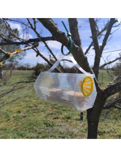 piege frelon asiatique selectif vespiguard mini -