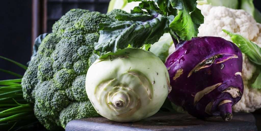 Different kinds of cabbage such as white cabbage, cauliflower, broccoli, kohlrabi on dark table, autumn harvest, selective focus for NAC