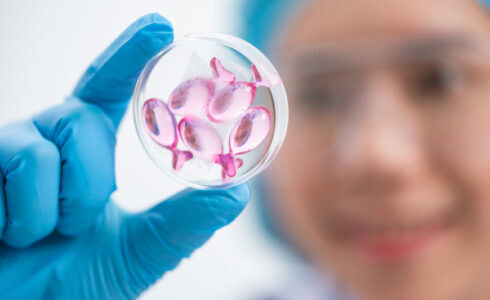 A doctor In Meridian ID examining a petri dish focusing intently on exosomes for skincare and morpheus8