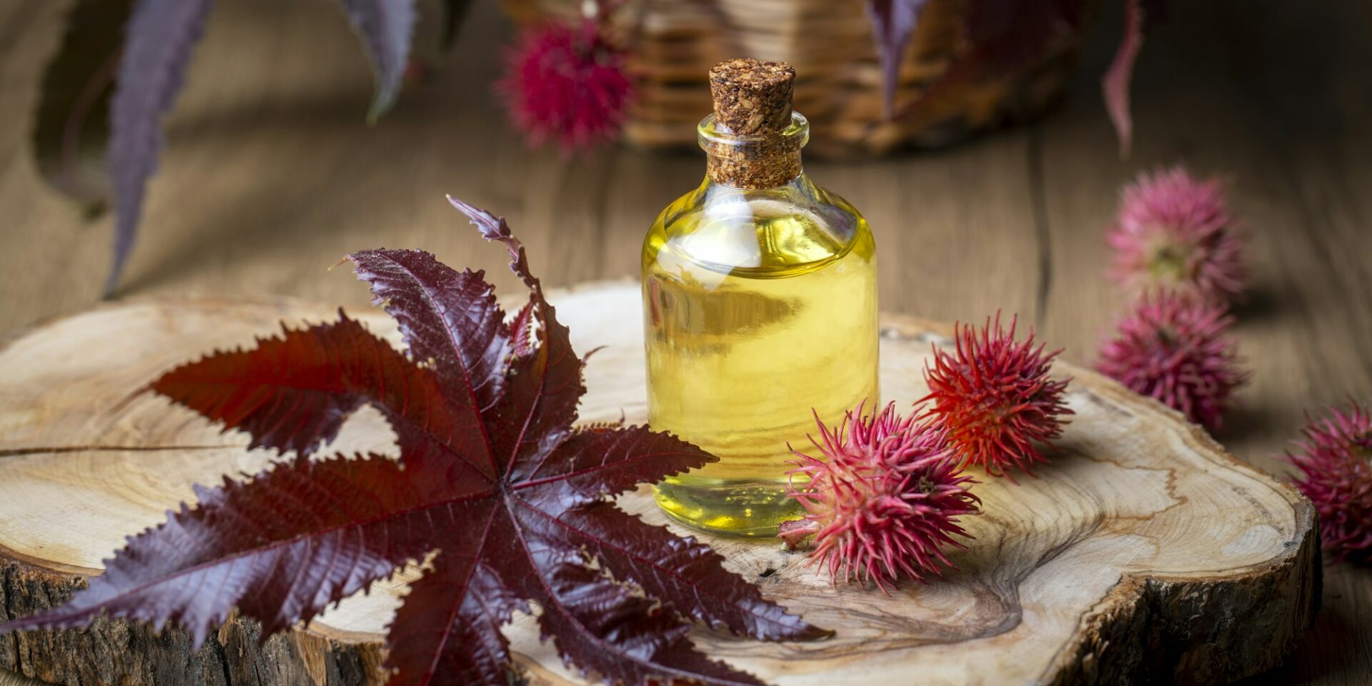 Castor oil bottle with castor fruits, seeds and leaf. Ricinus Communis plant oil.