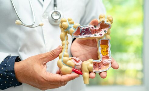 Intestine, appendix and digestive system, naturopathic medical doctor holding anatomy model for study diagnosis