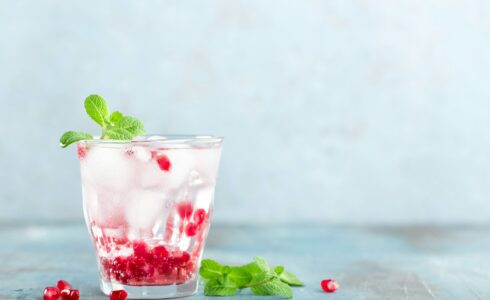 Infused water made of fresh pomegranate and mineral water with ice, cold refreshing and detox drink with trace minerals for functional health in Meridian, Id