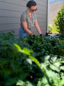 Naturopathic medical doctor tends organic garden in Boise, Idaho