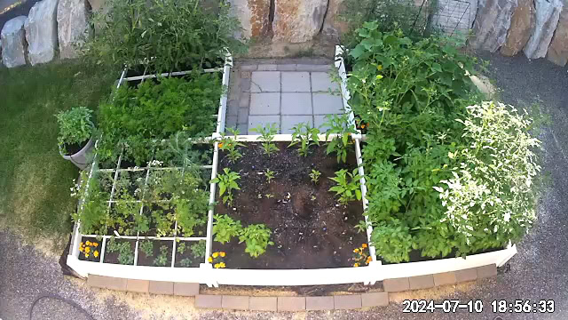 Organic garden growing in Boise Idaho by Naturopathic Medical Doctor