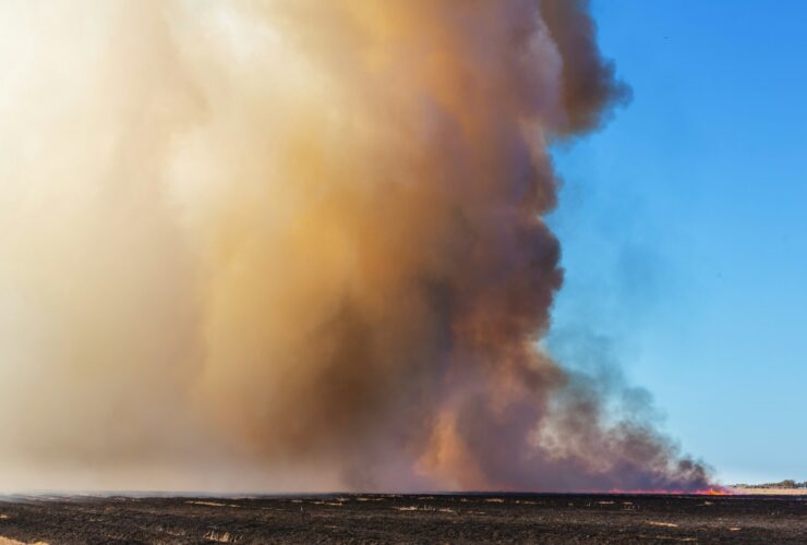 Wildfire smoke can be harmful to health