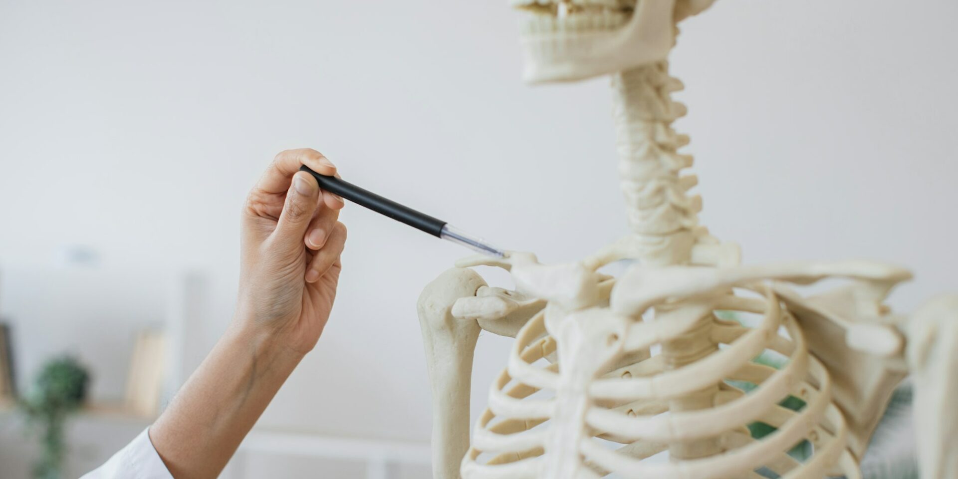 Functional Medicine Doctor hand showing location of disease on model skeleton in Meridian, ID