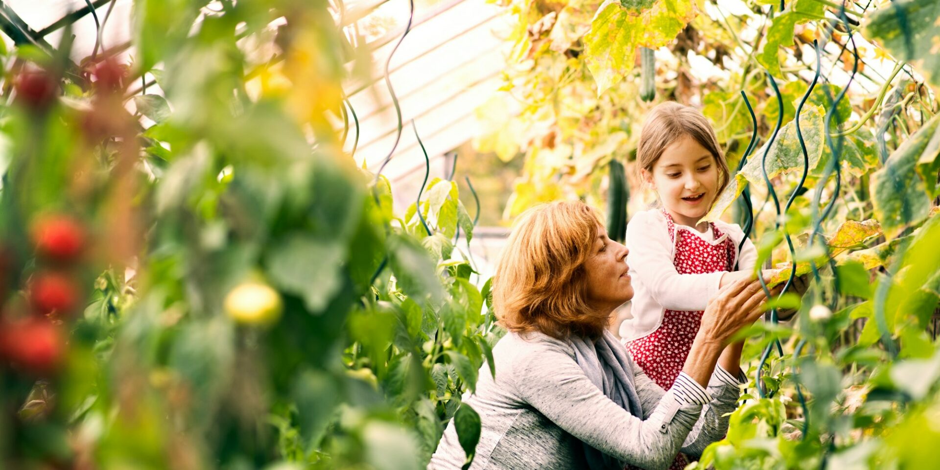 Senior woman with grandaughter gardening in the backyard garden.