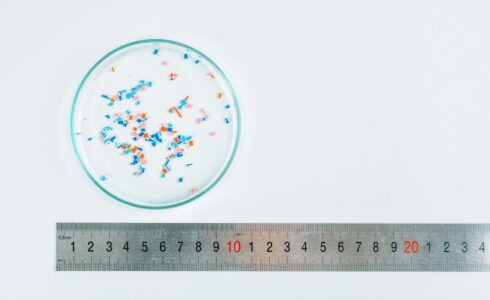 Microplastics in Petri Dish