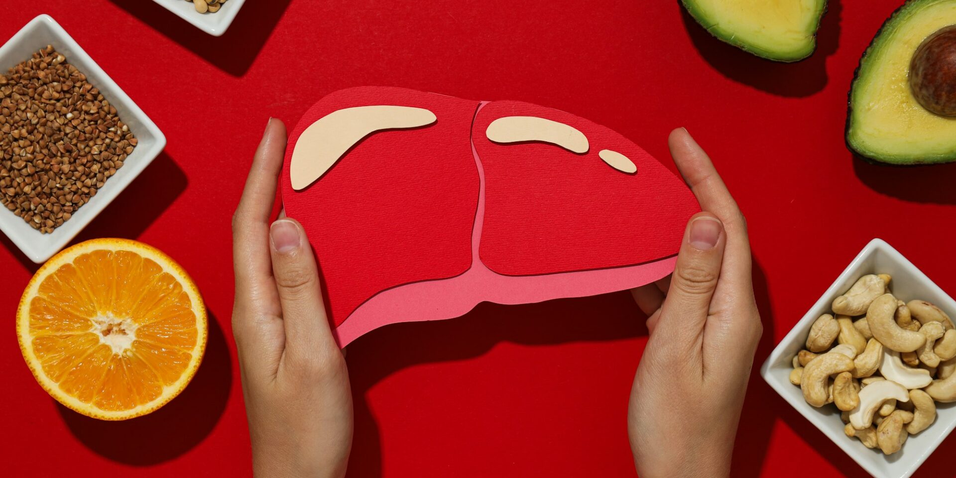 Paper mockup of liver in female hands and food on red background, top view