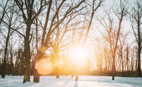 Beautiful Sunset Sunrise Sun Sunshine In Sunny Winter Snowy Fore