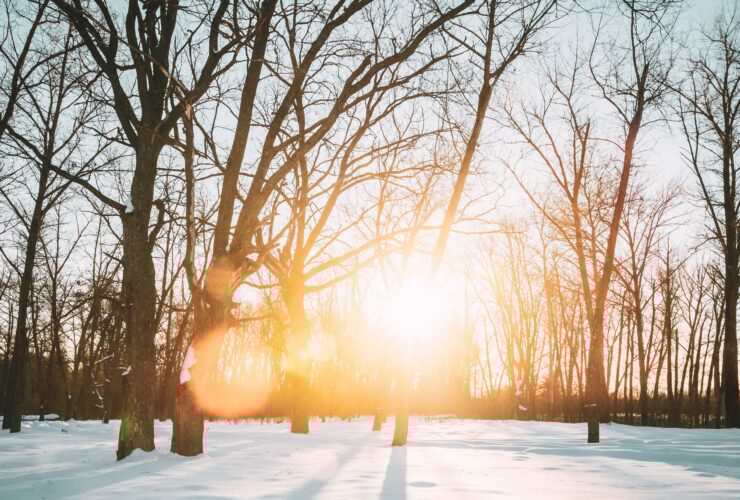 Beautiful Sunset Sunrise Sun Sunshine In Sunny Winter Snowy Fore